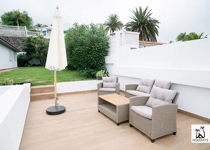 Tulipan Sunset Santa Úrsula