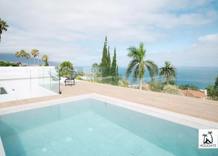 Tulipan Sunset Santa Úrsula