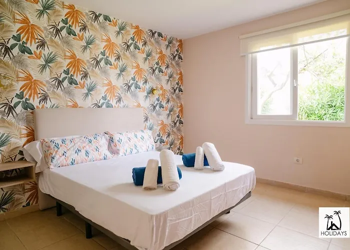 Tulipan Sunset Santa Úrsula